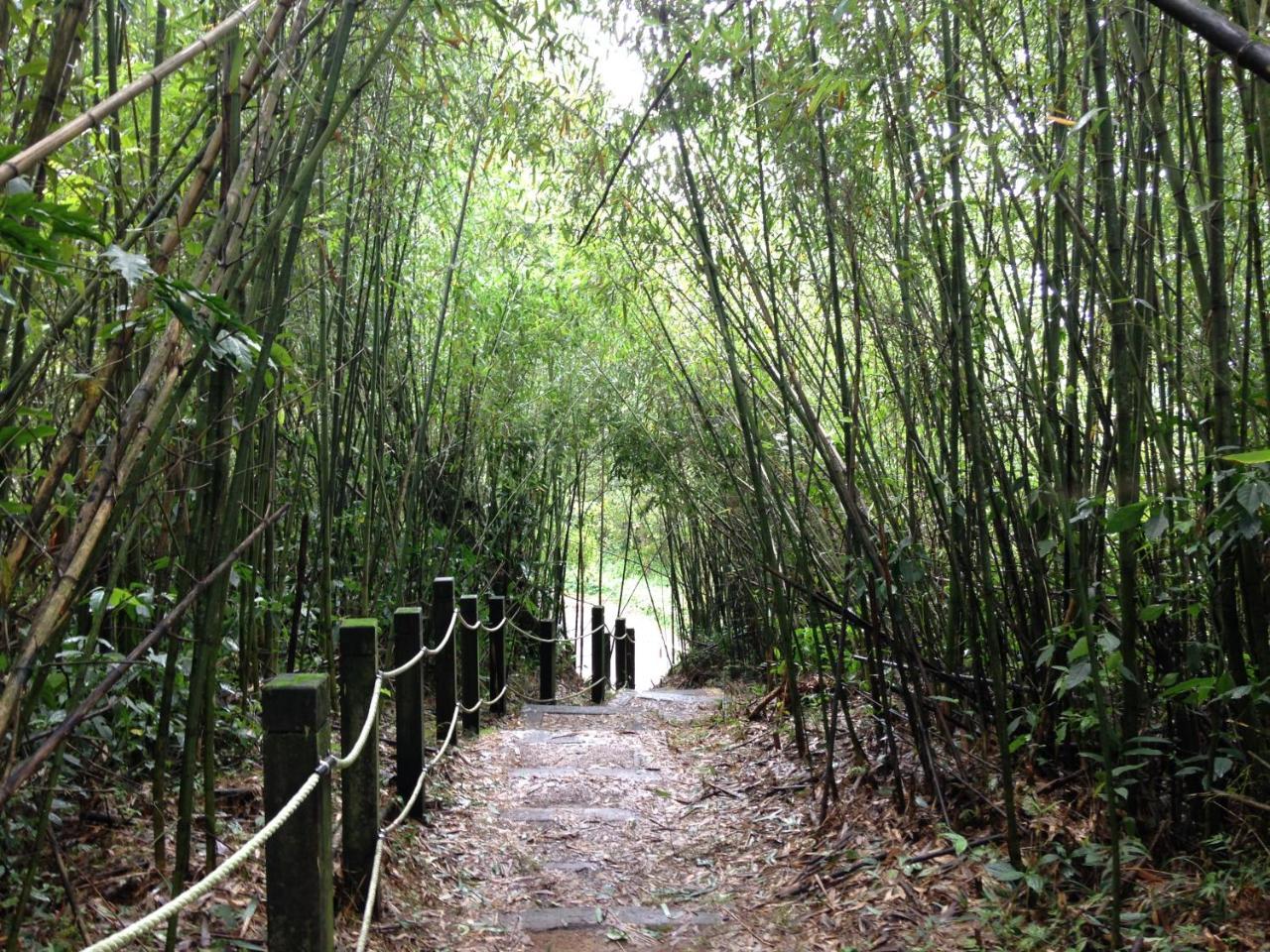 Alishan Mao Hsin Fenchihu Ngoại thất bức ảnh